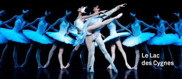 Swan Lake Moves Audiences at the Théâtre du Châtelet | Paris Hotel ...