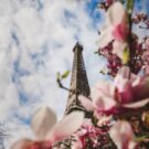 Photo de la Tour Eiffel fleurie